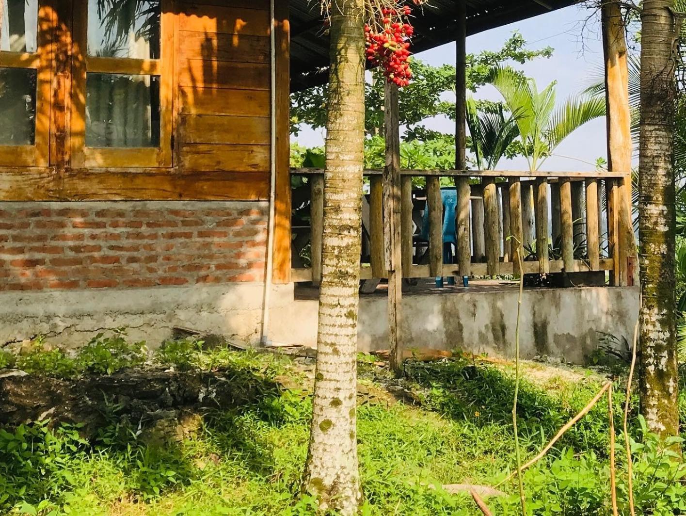 Dolin Cottage Hilibotodane Bagian luar foto
